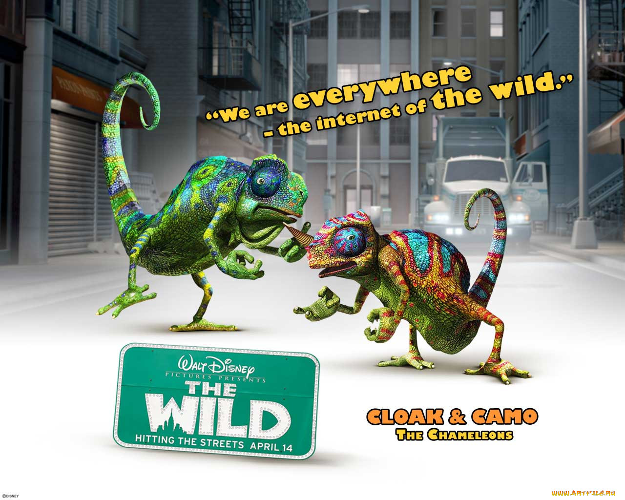 , the, wild